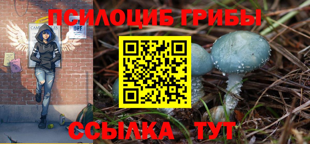 Псилоцибиновые грибы Magic Shrooms Саров