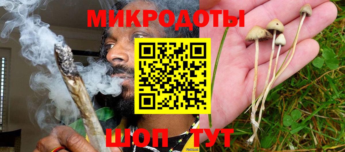 Саров  Галлюциногенные грибы мицелий  Вход с VPN 